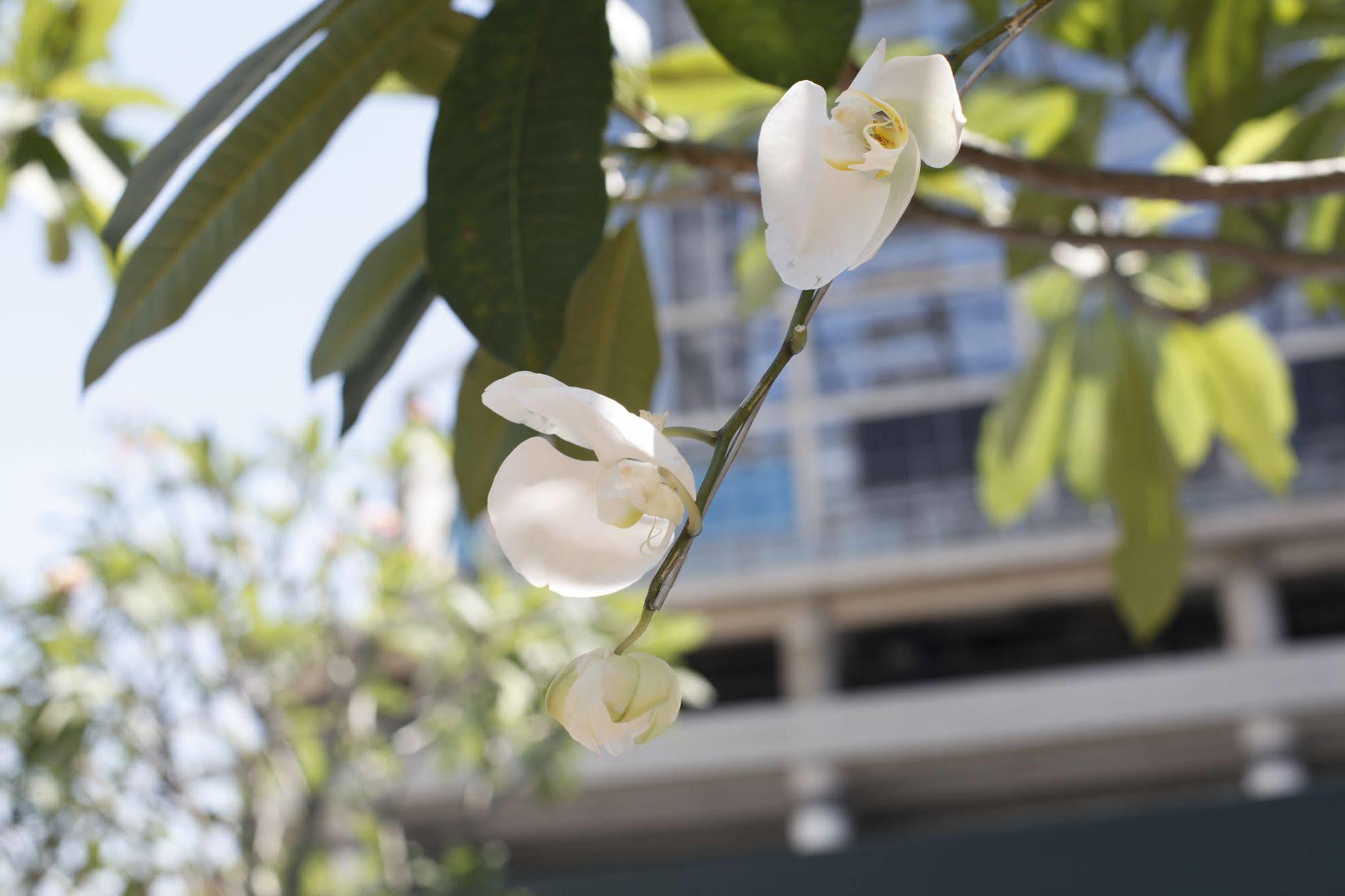 Four Points By Sheraton Surabaya, Tunjungan Plaza Exterior photo